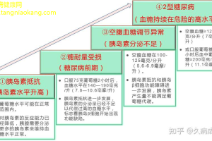 糖尿病研究最新发现与未来方向