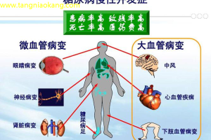 糖尿病新发现最新研究揭示糖尿病与脑部健康的关系