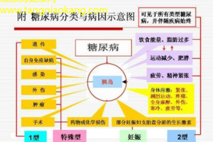 糖尿病新知最新研究揭示糖尿病与脑部疾病的联系