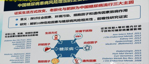 糖尿病研究最新发现与突破